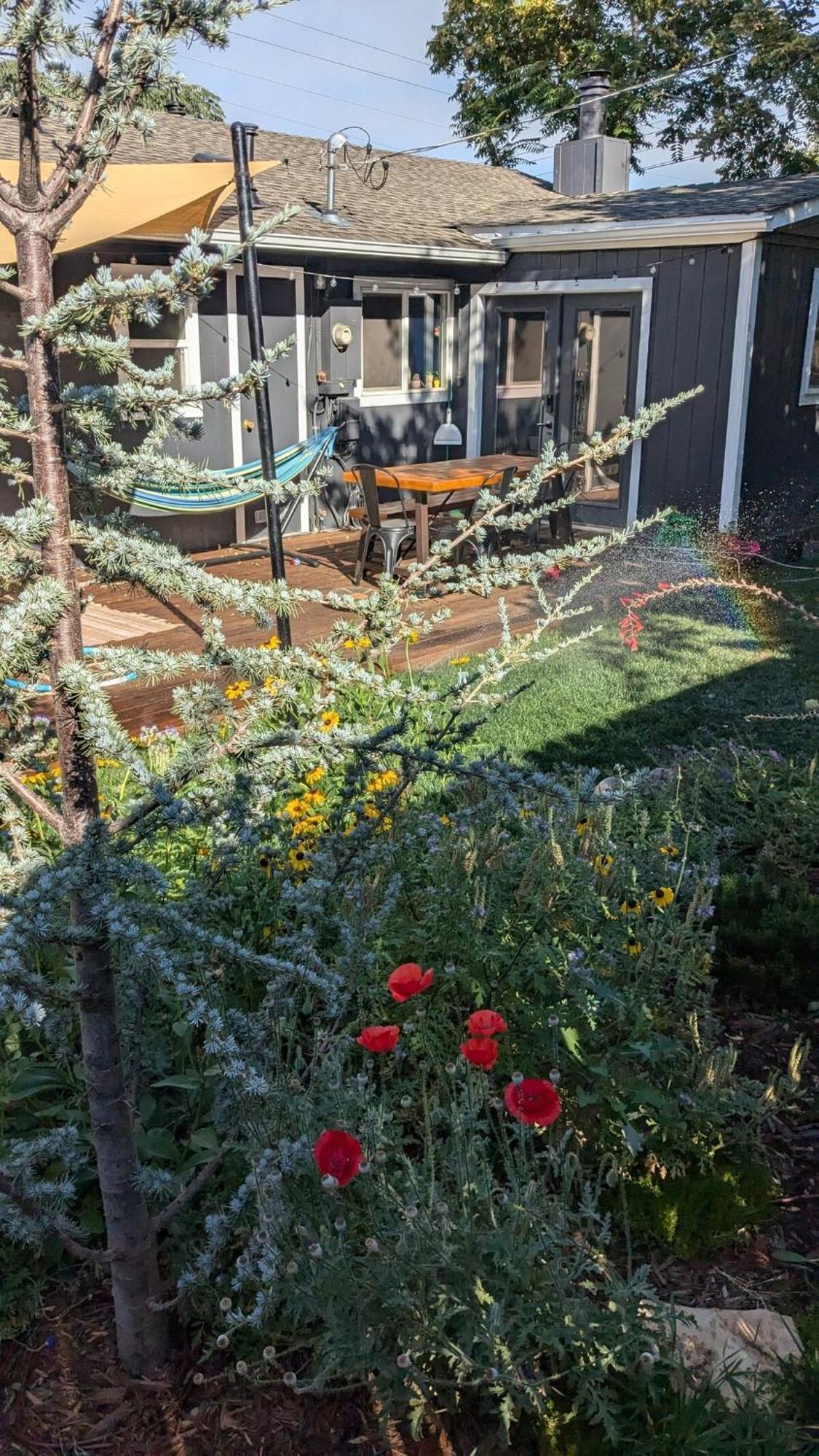 The Midtown Reno Orchard Villa Buitenkant foto